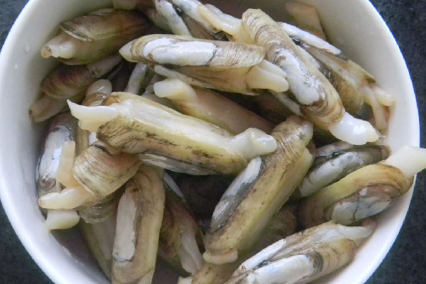 蟶子要吐沙嗎 蟶子怎么吐沙子干凈 蟶子要吐沙嗎 蟶子怎么吐沙子干凈