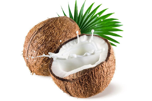 椰子是什么季節(jié)的水果 椰子什么顏色的好喝 椰子是什么季節(jié)的水果 椰子什么顏色的好喝