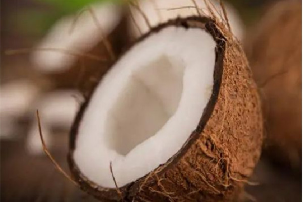 椰子可以常溫存放嗎 椰子放了一個(gè)月還能喝嗎 椰子可以常溫存放嗎 椰子放了一個(gè)月還能喝嗎