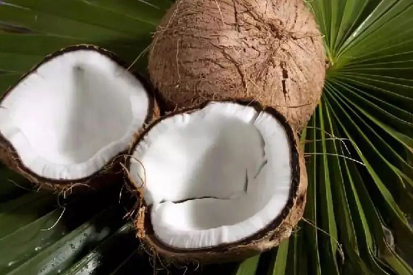 椰子煲湯放什么材料比較好吃 椰子煲湯怎么做 椰子煲湯放什么材料比較好吃 椰子煲湯怎么做