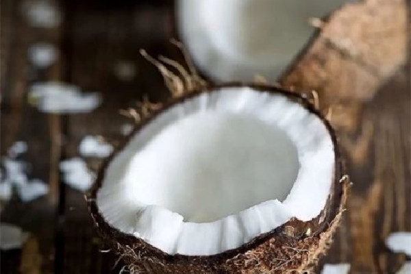 椰汁是透明的還是乳白色 椰子汁為什么是奶白色 椰汁是透明的還是乳白色 椰子汁為什么是奶白色