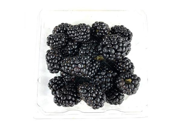 黑樹莓和紅樹莓的區(qū)別 黑樹莓的熱量 黑樹莓和紅樹莓的區(qū)別 黑樹莓的熱量