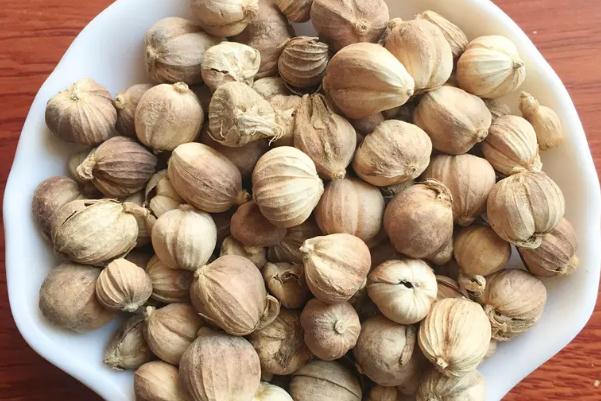 白蔻有假的嗎 白蔻有什么用 白蔻有假的嗎 白蔻有什么用