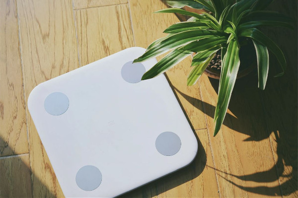 體脂秤可以測出哪些數(shù)據(jù) 體脂秤可以測基礎(chǔ)代謝嗎 體脂秤可以測出哪些數(shù)據(jù) 體脂秤可以測基礎(chǔ)代謝嗎