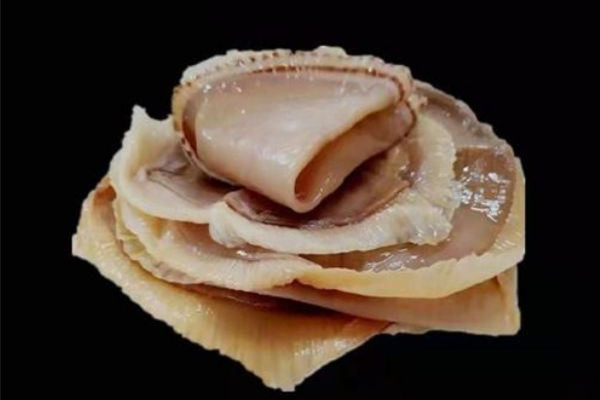 海蜇要煮熟在涼拌嗎 海蜇煮熟后化了為什么 海蜇要煮熟在涼拌嗎 海蜇煮熟后化了為什么