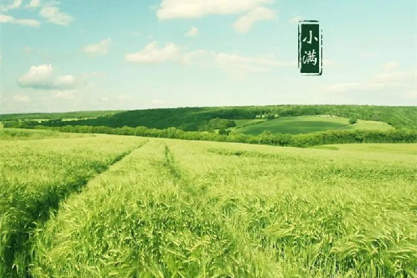 小滿(mǎn)是春天還是夏天 小滿(mǎn)的來(lái)歷和風(fēng)俗