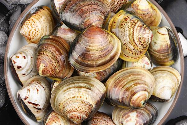 蛤蜊有沙子吃了有事嗎 蛤蜊有沙子怎么處理 蛤蜊有沙子吃了有事嗎 蛤蜊有沙子怎么處理