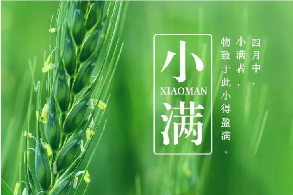 小滿是春天還是夏天 小滿的來歷和風(fēng)俗 小滿是春天還是夏天 小滿的來歷和風(fēng)俗