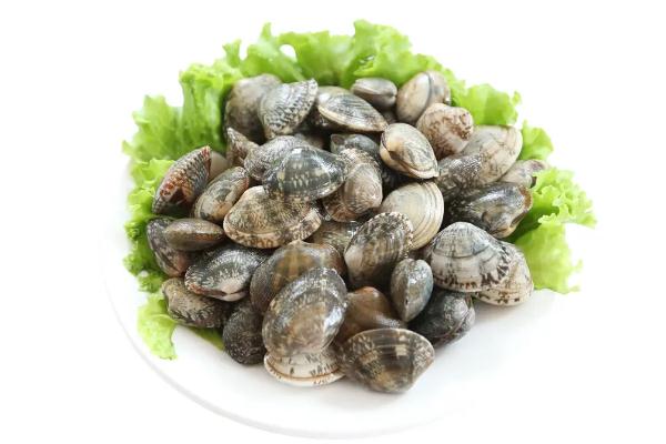 蛤蜊的功效與作用 蛤蜊怎么去泥沙 蛤蜊的功效與作用 蛤蜊怎么去泥沙