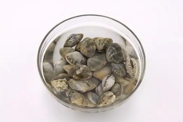 蛤蜊孕婦早期能吃嗎 蛤蜊煮多久幾分鐘能熟 蛤蜊孕婦早期能吃嗎 蛤蜊煮多久幾分鐘能熟
