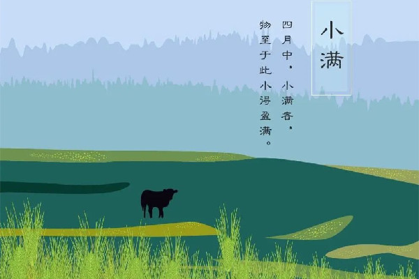 小滿(mǎn)吃什么傳統(tǒng)食物 小滿(mǎn)要吃餃子嗎 小滿(mǎn)吃什么傳統(tǒng)食物 小滿(mǎn)要吃餃子嗎