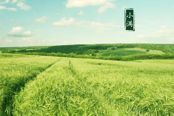 小滿節(jié)氣是幾月幾日 小滿節(jié)氣的含義是什么 小滿節(jié)氣是幾月幾日 小滿節(jié)氣的含義是什么