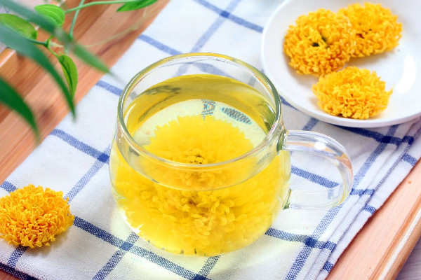 菊花茶是花苞好還是開了好 菊花茶泡幾朵合適 菊花茶是花苞好還是開了好 菊花茶泡幾朵合適