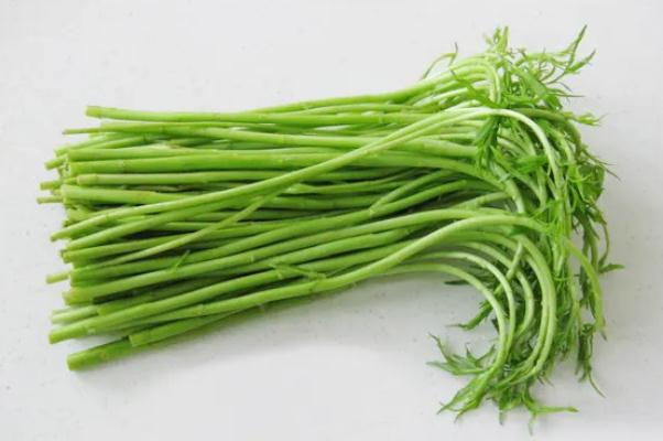 藜蒿怎么做好吃 藜蒿和茼蒿有什么區(qū)別 藜蒿怎么做好吃 藜蒿和茼蒿有什么區(qū)別