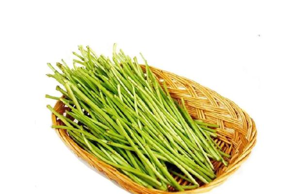 藜蒿會(huì)上火嗎 藜蒿會(huì)胖嗎 藜蒿會(huì)上火嗎 藜蒿會(huì)胖嗎