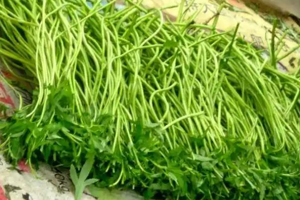 藜蒿會(huì)上火嗎 藜蒿會(huì)胖嗎 藜蒿會(huì)上火嗎 藜蒿會(huì)胖嗎