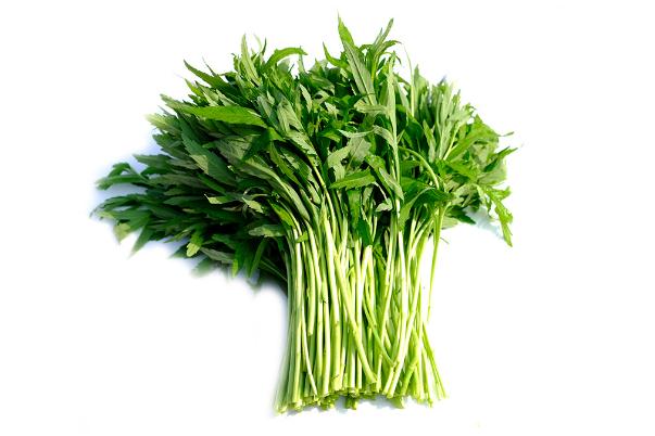 藜蒿怎么保存長(zhǎng)久 藜蒿的葉子可以吃嗎 藜蒿怎么保存長(zhǎng)久 藜蒿的葉子可以吃嗎