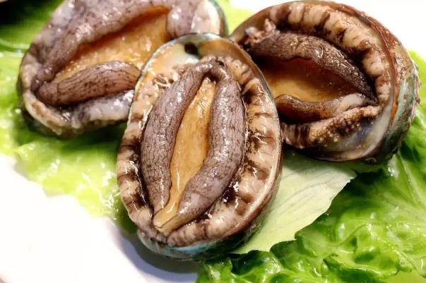 鮑魚的功效與作用及營養(yǎng) 鮑魚怎么處理干凈 鮑魚的功效與作用及營養(yǎng) 鮑魚怎么處理干凈