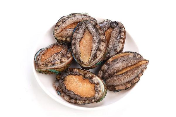 鮑魚的功效與作用及營養(yǎng) 鮑魚怎么處理干凈 鮑魚的功效與作用及營養(yǎng) 鮑魚怎么處理干凈