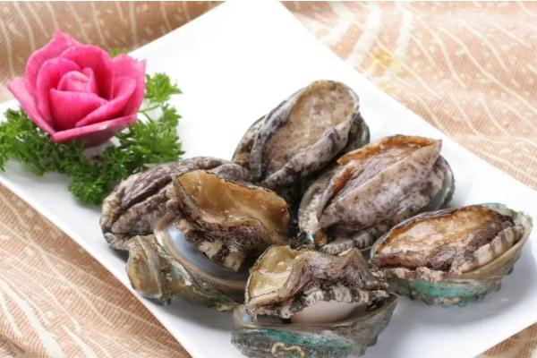 鮑魚要蒸多少時(shí)間才能熟 鮑魚要焯水嗎 鮑魚要蒸多少時(shí)間才能熟 鮑魚要焯水嗎