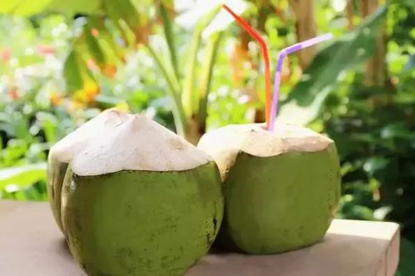 椰青加熱后還有營養(yǎng)嗎 椰青汁是透明的嗎 椰青加熱后還有營養(yǎng)嗎 椰青汁是透明的嗎