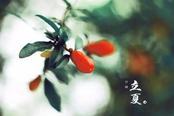 立夏是夏天的第一天嗎 立夏為什么要吃雞蛋 立夏是夏天的第一天嗎 立夏為什么要吃雞蛋