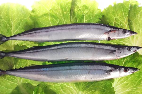 秋刀魚孕婦可以吃嗎 秋刀魚要去內(nèi)臟嗎 秋刀魚孕婦可以吃嗎 秋刀魚要去內(nèi)臟嗎
