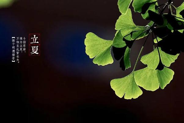 立夏可以剪頭發(fā)嗎 立夏可以洗澡嗎 立夏可以剪頭發(fā)嗎 立夏可以洗澡嗎