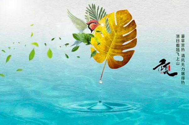 立夏節(jié)氣要喝雞湯嗎 立夏節(jié)氣要注意什么 立夏節(jié)氣要喝雞湯嗎 立夏節(jié)氣要注意什么