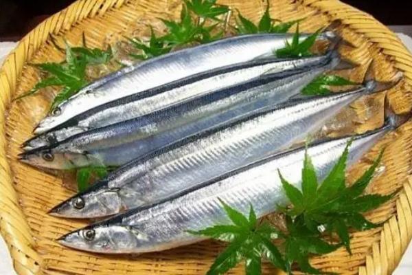 秋刀魚孕婦可以吃嗎 秋刀魚要去內(nèi)臟嗎 秋刀魚孕婦可以吃嗎 秋刀魚要去內(nèi)臟嗎