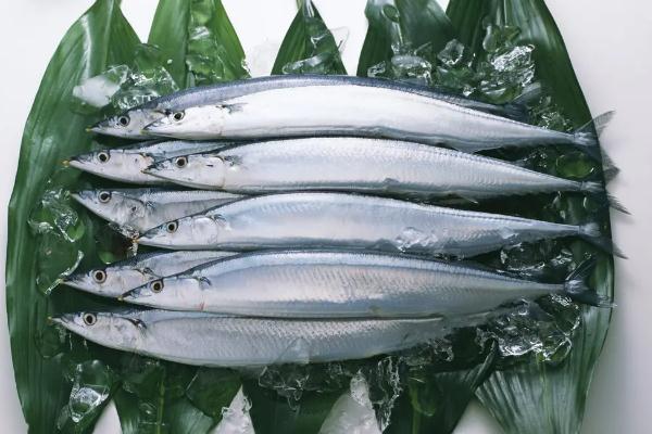 秋刀魚是進口的還是國產(chǎn)的 秋刀魚是寒性還是熱性 秋刀魚是進口的還是國產(chǎn)的 秋刀魚是寒性還是熱性