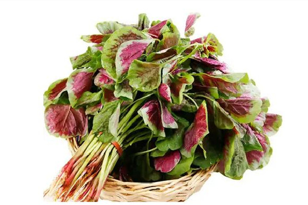 紅莧菜可以補(bǔ)血嗎 紅莧菜適合什么人吃 紅莧菜可以補(bǔ)血嗎 紅莧菜適合什么人吃