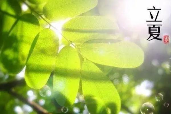 立夏節(jié)氣的夏在古代是什么意思 立夏吃什么傳統(tǒng)食物 立夏節(jié)氣的夏在古代是什么意思 立夏吃什么傳統(tǒng)食物