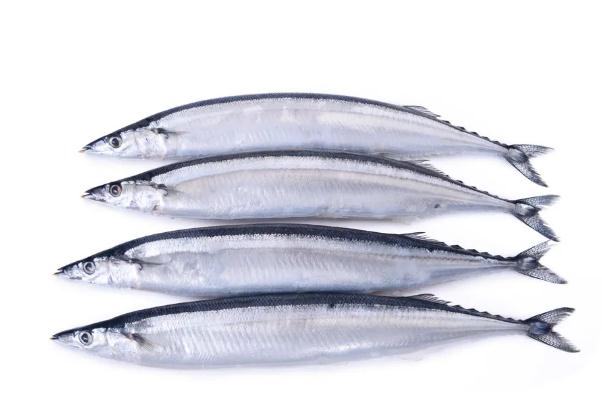 秋刀魚是進口的還是國產(chǎn)的 秋刀魚是寒性還是熱性 秋刀魚是進口的還是國產(chǎn)的 秋刀魚是寒性還是熱性