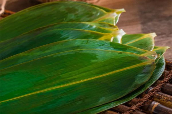 粽葉一包就破什么原因 粽葉怎么樣才能不容易破 粽葉一包就破什么原因 粽葉怎么樣才能不容易破