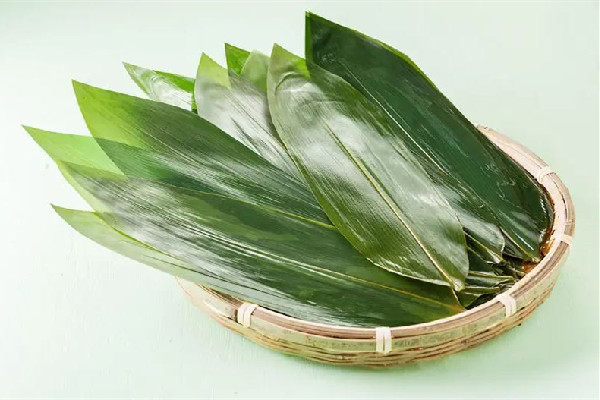 粽葉怎么處理才能包粽子 粽葉需要煮多久才能用 粽葉怎么處理才能包粽子 粽葉需要煮多久才能用
