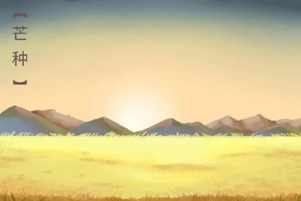 芒種的氣候特點 芒種要注意什么 芒種的氣候特點 芒種要注意什么