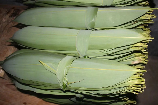 粽葉買(mǎi)什么樣的好 粽葉會(huì)不會(huì)壞 粽葉買(mǎi)什么樣的好 粽葉會(huì)不會(huì)壞