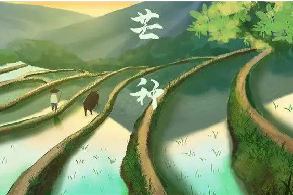 芒種的氣候特點 芒種要注意什么 芒種的氣候特點 芒種要注意什么