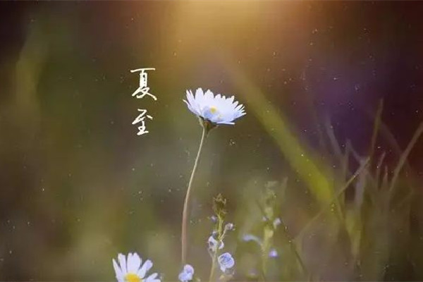 夏至是白天最長的一天嗎 夏至?xí)霈F(xiàn)什么現(xiàn)象 夏至是白天最長的一天嗎 夏至?xí)霈F(xiàn)什么現(xiàn)象