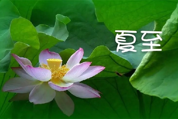 夏至要吃安宮牛黃丸嗎 夏至吃安宮牛黃丸有什么好處 夏至要吃安宮牛黃丸嗎 夏至吃安宮牛黃丸有什么好處