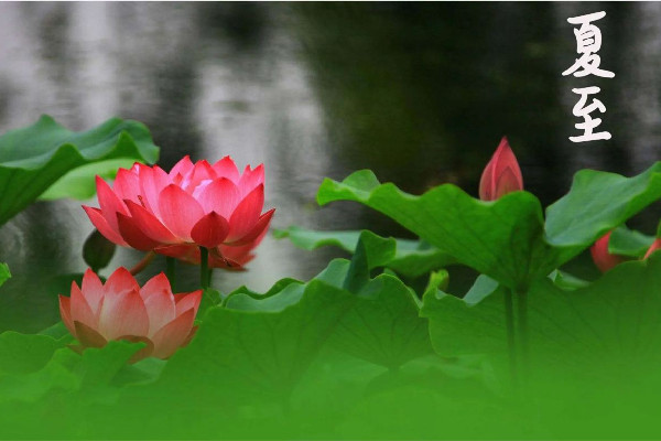 夏至要吃安宮牛黃丸嗎 夏至吃安宮牛黃丸有什么好處 夏至要吃安宮牛黃丸嗎 夏至吃安宮牛黃丸有什么好處