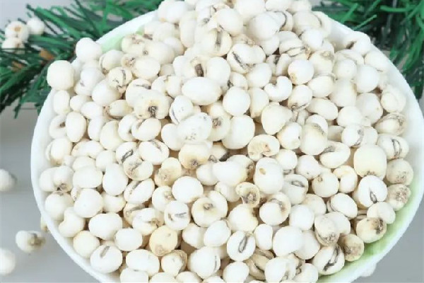 川貝可以放冰箱保存嗎 川貝怎么保存 川貝可以放冰箱保存嗎 川貝怎么保存