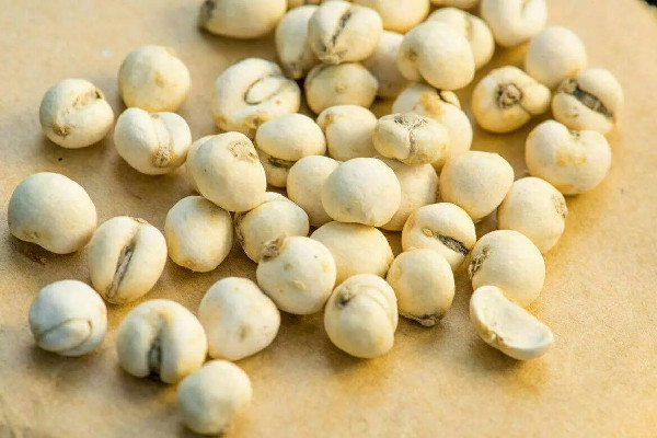 川貝怎么吃最好 川貝泡水一次放多少 川貝怎么吃最好 川貝泡水一次放多少