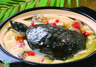 甲魚多少錢一斤 甲魚多少錢一斤市場價2022 甲魚多少錢一斤 甲魚多少錢一斤市場價2022