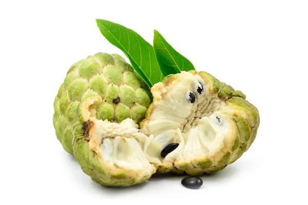 番荔枝是什么水果 番荔枝是熱性還是涼性 番荔枝是什么水果 番荔枝是熱性還是涼性