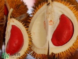 榴蓮多少錢一斤2022年 榴蓮有國產的嗎 榴蓮多少錢一斤2022年 榴蓮有國產的嗎