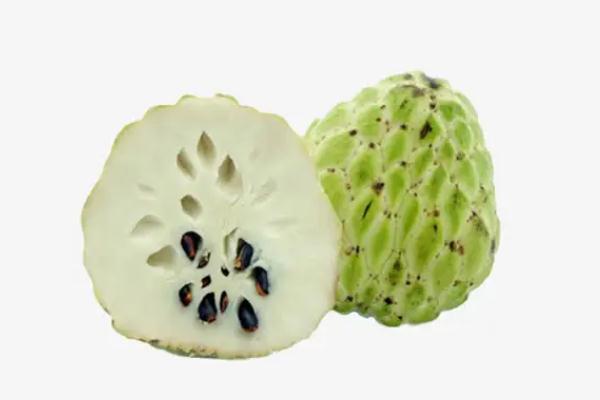 番荔枝有毒嗎 番荔枝會(huì)過敏嗎 番荔枝有毒嗎 番荔枝會(huì)過敏嗎