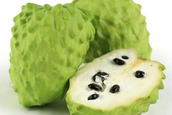 番荔枝是什么水果 番荔枝是熱性還是涼性 番荔枝是什么水果 番荔枝是熱性還是涼性