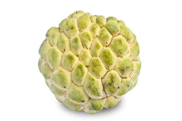 番荔枝有毒嗎 番荔枝會(huì)過敏嗎 番荔枝有毒嗎 番荔枝會(huì)過敏嗎